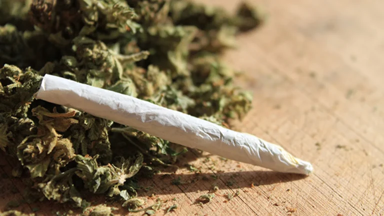 Close-up of a hand-rolled joint resting on a board beside loose cannabis.