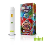 Mint Disposable 1.1g - Image 28