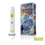 Mint Disposable 1.1g - Image 31