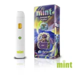 Mint Disposable 1.1g - Image 19
