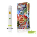 Mint Disposable 1.1g - Image 20