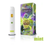 Mint Disposable 1.1g - Image 23
