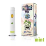 Mint Disposable 1.1g