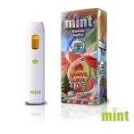 Mint Disposable 2g - Image 19