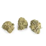 Hash Plant Indica g - Image 2