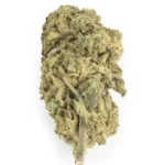 Hash Plant Indica g