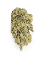Hash Plant Indica g