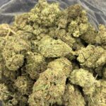 Oregon Diesel Indica g