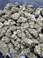 Passion Fruit Hybrid g