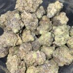 Bazooka Pink Indica lb