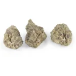 Bazooka Pink Indica g - Image 3