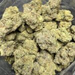 Big League Blue Indica g