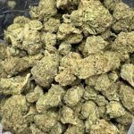 Blue Hash Hybrid g