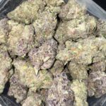 Cherry Vanilla Skunk Sativa g