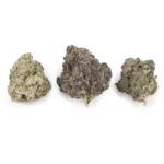 Cherry Vanilla Skunk Sativa g - Image 3