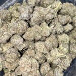 Denny Pink Indica g