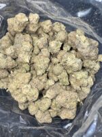 Gelato Hybrid g - Image 2
