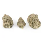 Gelato Hybrid g - Image 3