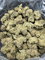 Ice Cream Cake Indica g
