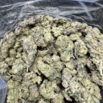 Oregon Diesel Indica lb