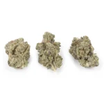 Pablo Purple Hybrid lb - Image 3