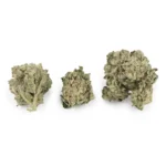 Permanent Marker Indica g