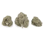 Pets g - Image 3