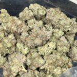 Pink Goo Bigs Indica lb