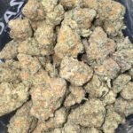 Platinum Cake Indica g