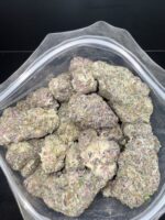 Purple Afghani Indica g