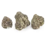 Purple Afghani Indica g - Image 3
