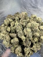 Purple God Indica g