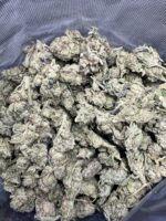 Purple Octane Indica g