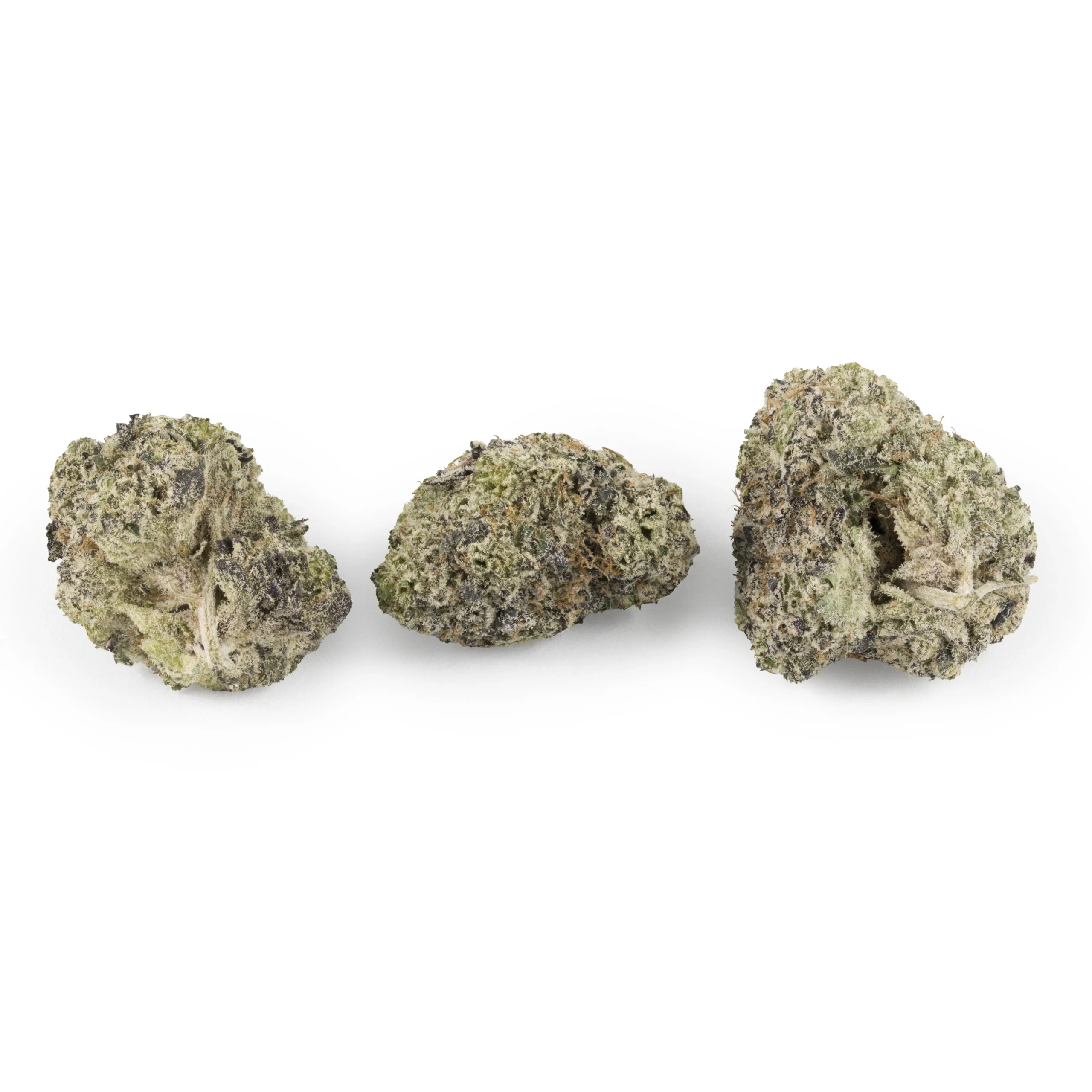 Remember the Titans Indica tb 08-04-26 Remember The Titans Indica g - Image 1
