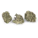 Rockstar Tuna Indica g - Image 3