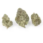 Sex Panther Indica g