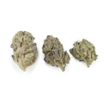 Super Critical Indica lb
