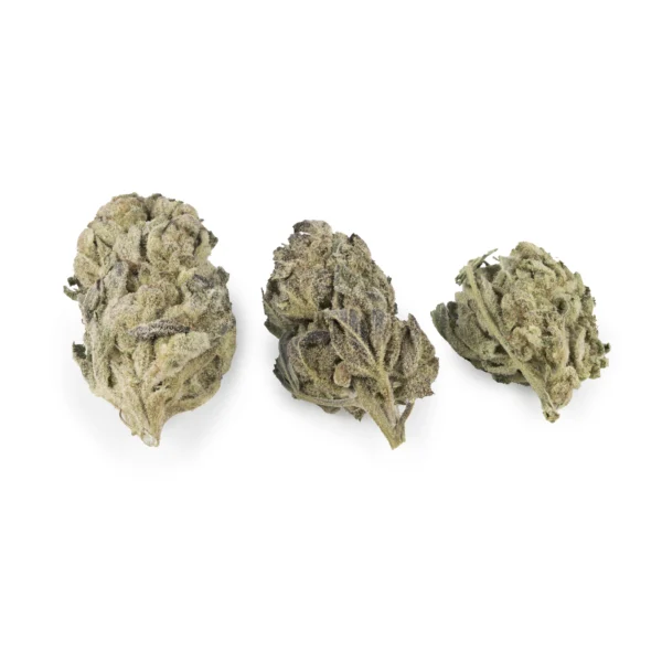 Super Critical Indica lb