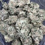 Sweet Tooth Hybrid lb