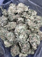 Sweet Tooth Hybrid g