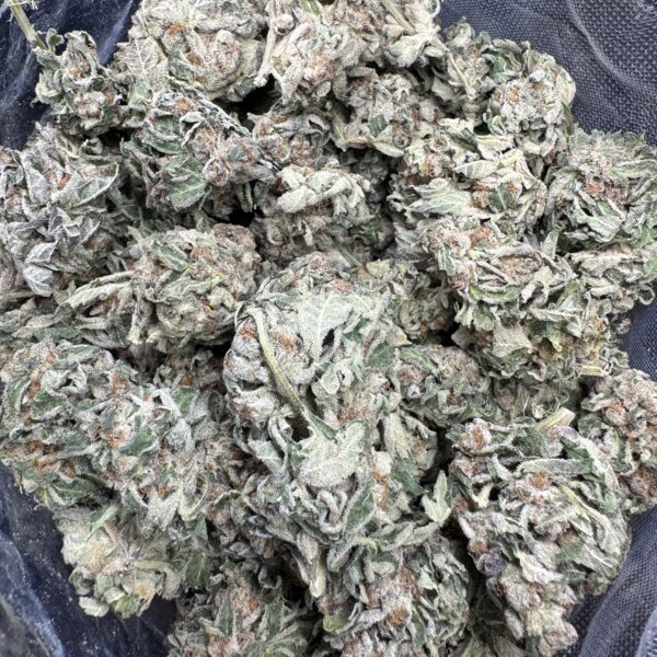 Sweet Tooth Hybrid lb