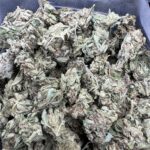 Truffle Butter Hybrid g