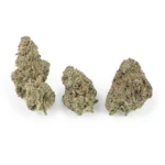 White Fire Hybrid g