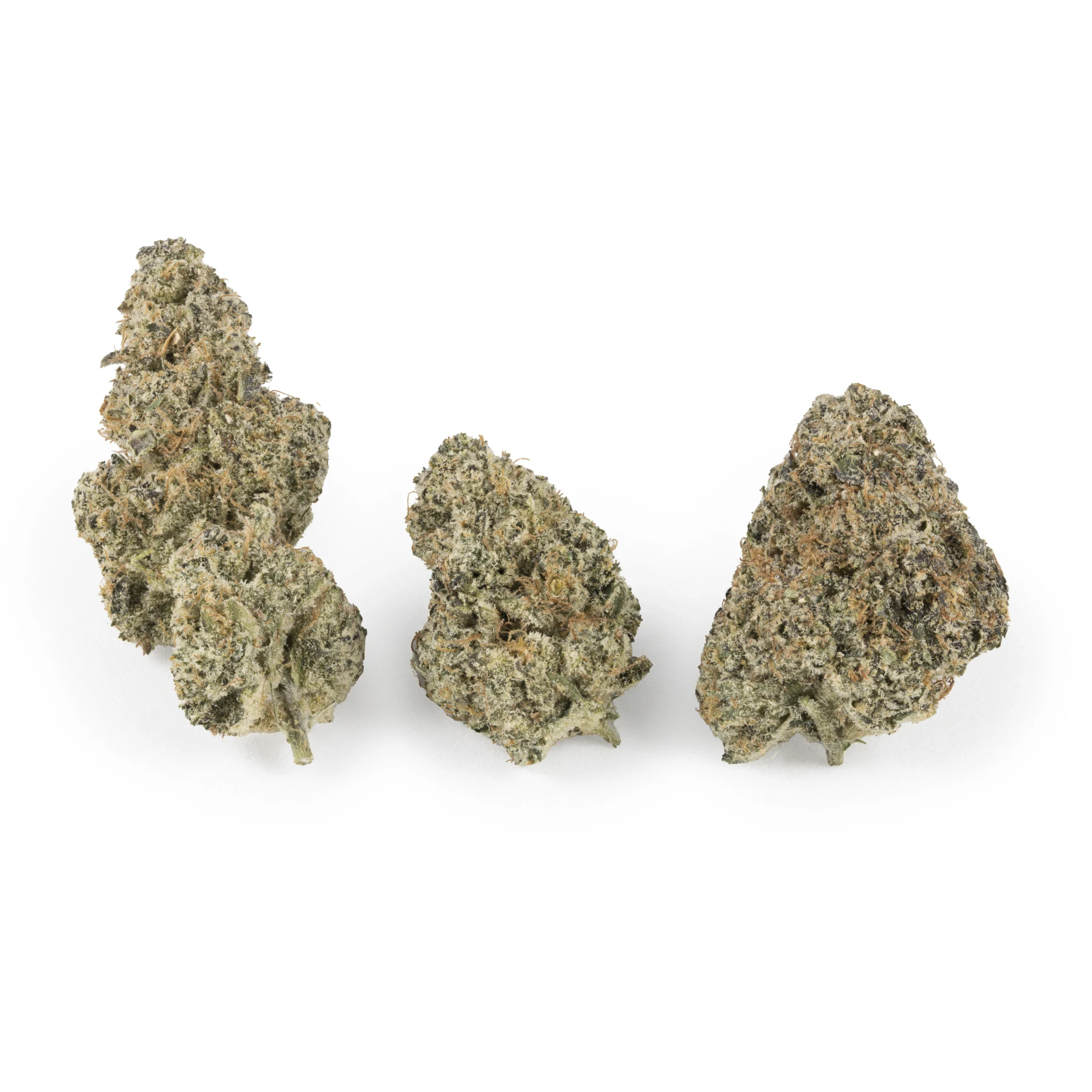 White Fire Hybrid tb 08-14-26 White Fire Hybrid lb - Image 1