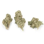 Power Plant Sativa lb