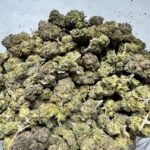Afgooey Indica g