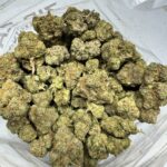 Bubblegum Gelato Hybrid g