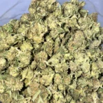 Dantes Inferno Indica lb