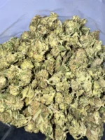 Dantes Inferno Indica g