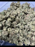 Dantes Inferno Indica g - Image 2